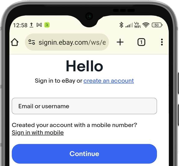 enter eBay™ email or username